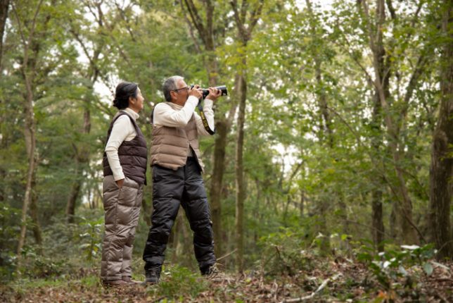 「歩く習慣」が質の高い睡眠(眠り)をつくる理由