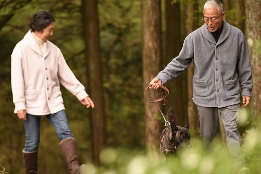 散歩とウォーキングの違いとは?どっちが健康にいい?効果的な歩き方と睡眠へのメリット